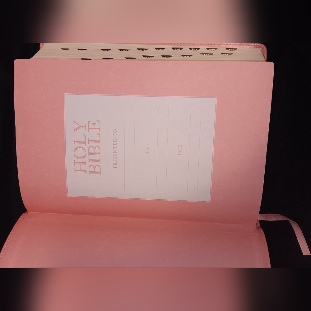 Pink Holy Bible King James Version - Picture 2 of 4